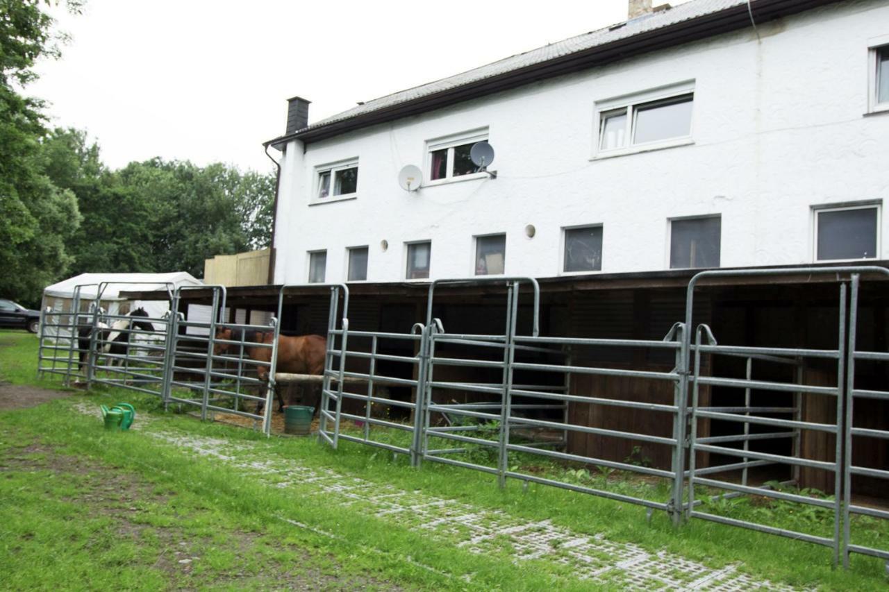 Ferienwohnung Ulrichstein/ Bobenhausen II Bobenhausen Zwei Eksteriør billede